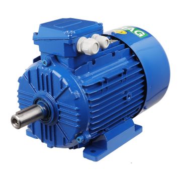 Elektromotor 3Ph IE1-100-8P  - Fuss B3 - 1.1kW - 700min.-1 - 400V 