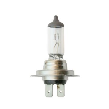 Halogen-Scheinwerferlampe 12V 55W H7