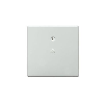 Abdeckplatte schraubbar zu UP-Abzweigdose Mod. 1011