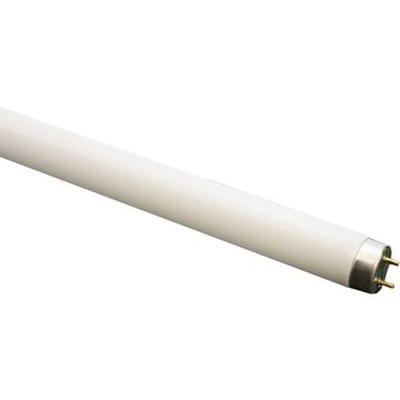  tube fluorescent 36W840 T8 G13 / longuer 1200 mm