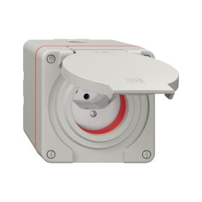 NAP Steckdose FELLER NEVO 1xT13 lichtgrau IP55 10A